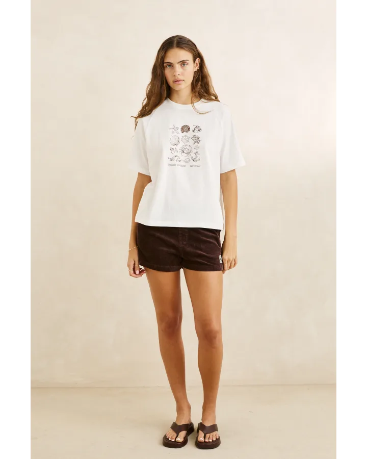 OCEAN SOUNDS RAGLAN T-SHIRT