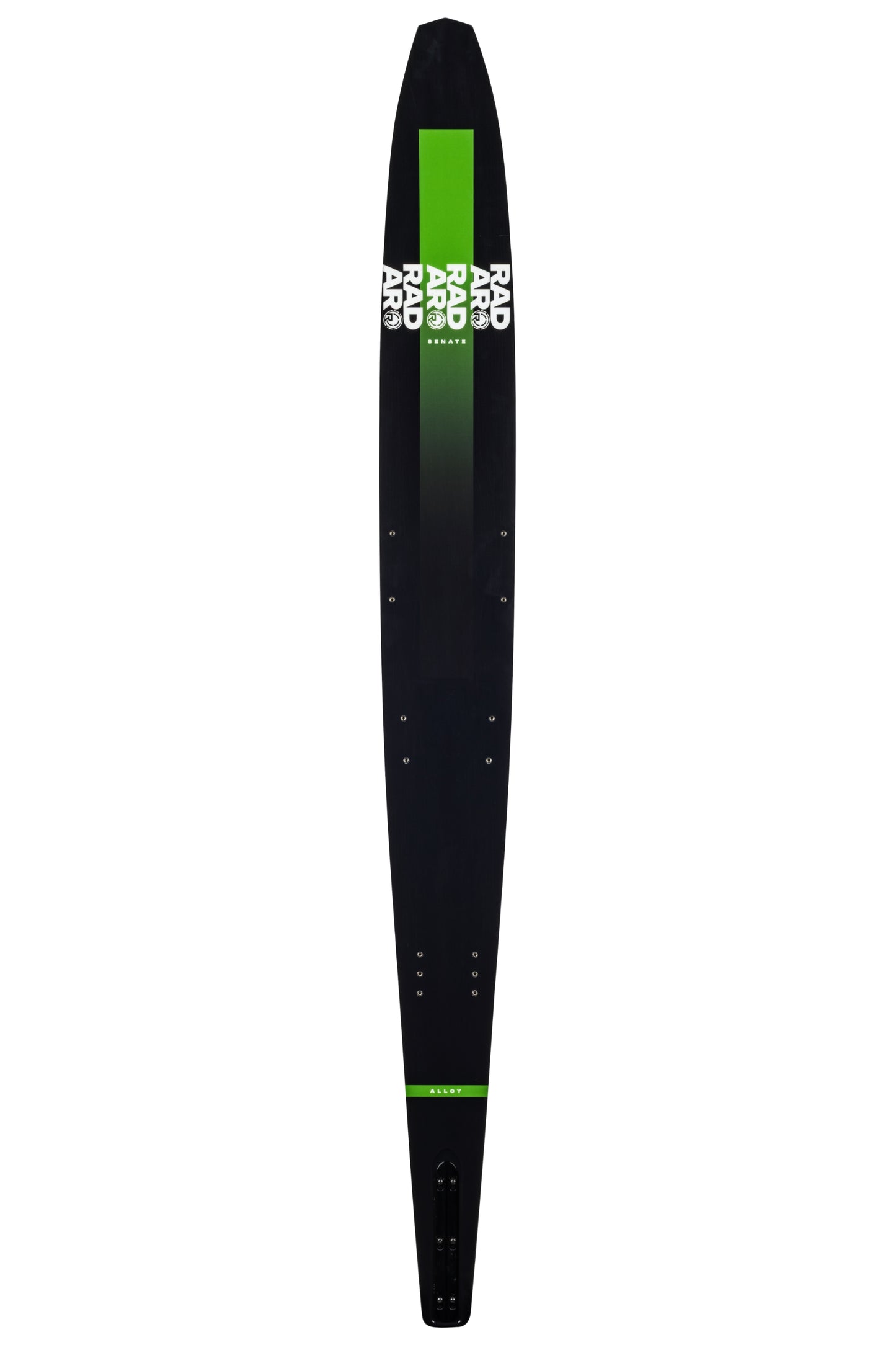 2026 Senate Alloy