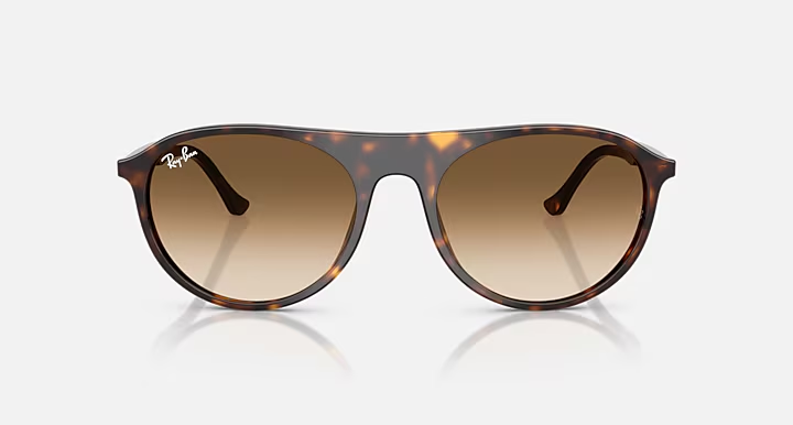 Havana w/Clear Gradient Brown