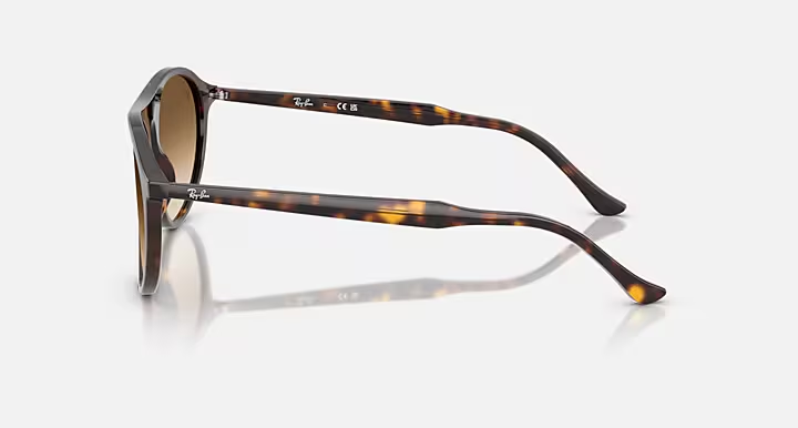 Havana w/Clear Gradient Brown