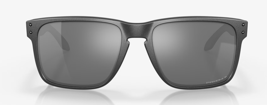 Oakley Holbrook XL