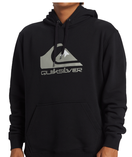 Big Logo Hoodie