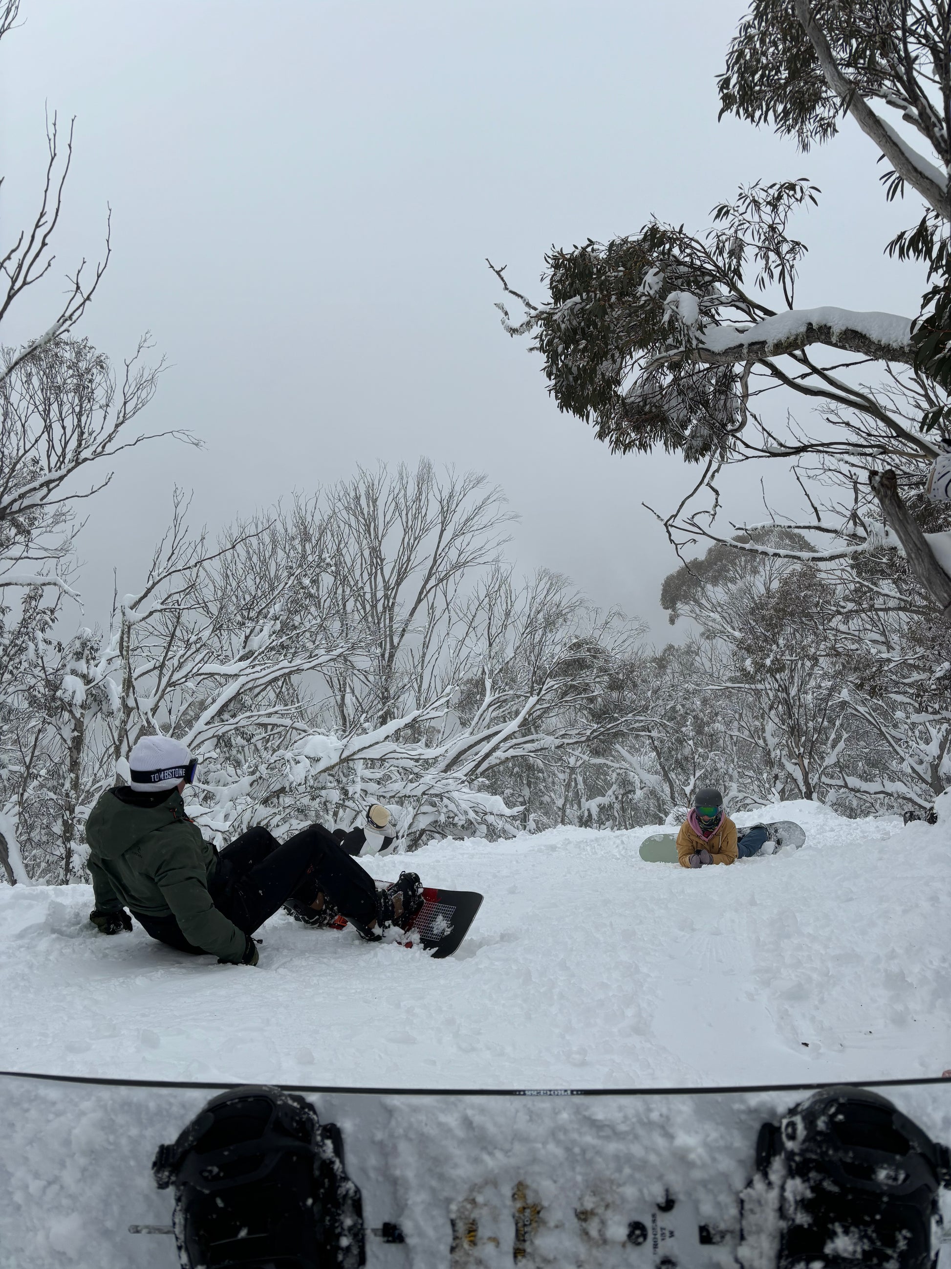 snowboarders in the trees covered in snow about to snowboard down the mountain