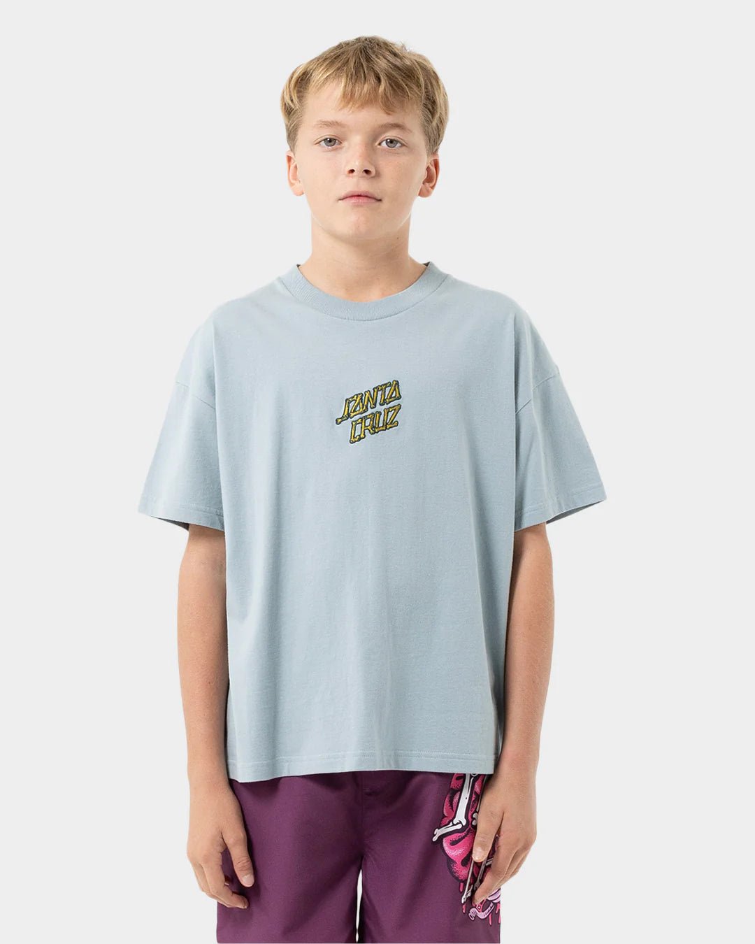 BRAIN DOT CENTRE TEE - Santa CruzSB225 - SS05 - SLATE - 8