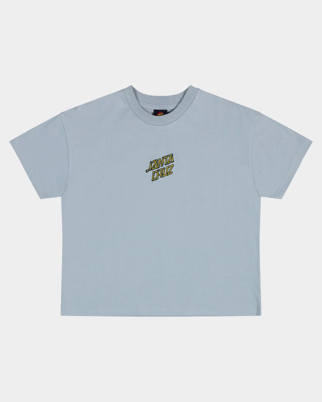 BRAIN DOT CENTRE TEE - Santa CruzSB225 - SS05 - SLATE - 8
