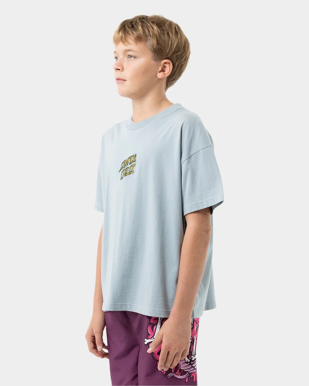 BRAIN DOT CENTRE TEE - Santa CruzSB225 - SS05 - SLATE - 8
