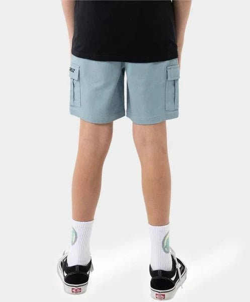 CALI CARGO SHORTS - Santa CruzSB223-SH06-SLATE-8