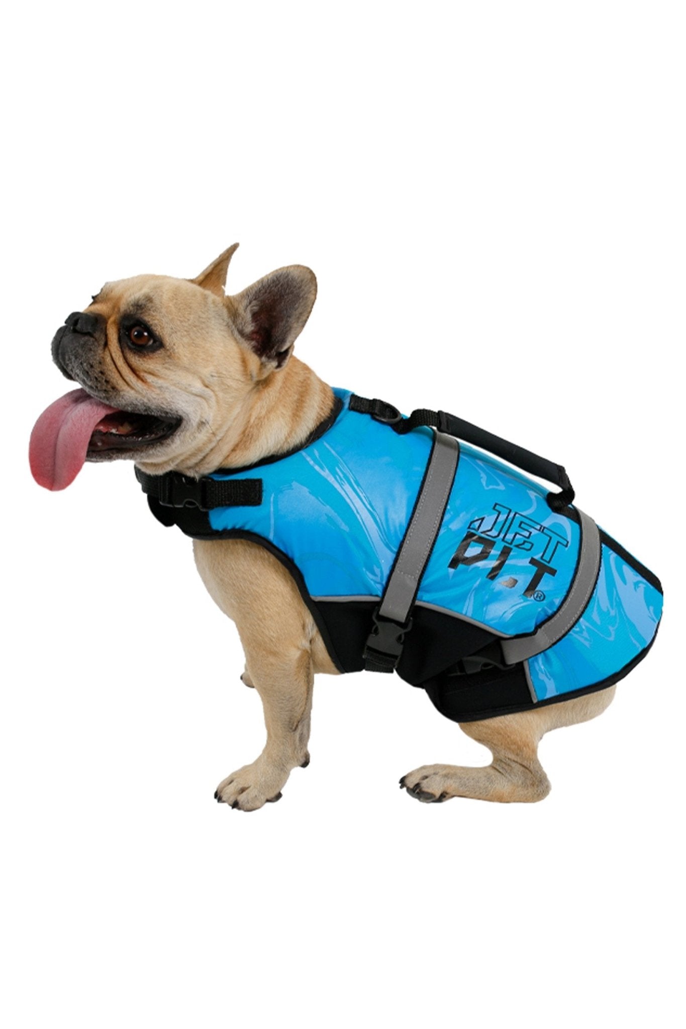 DOG PFD - Jet PilotJA23012 - 1 - Blue - S