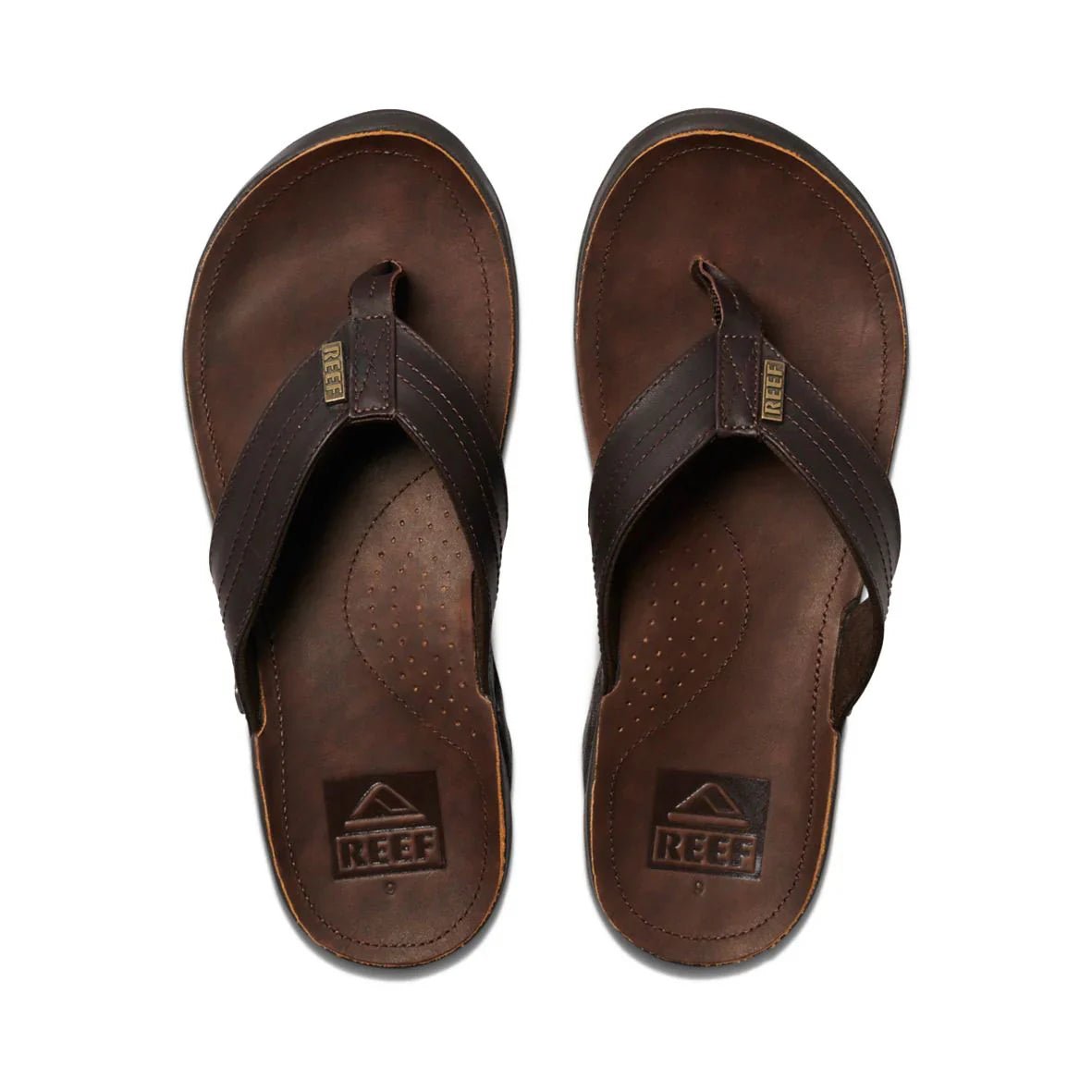 J - BAY 111 - Reef2616 - Dark Brown - 10