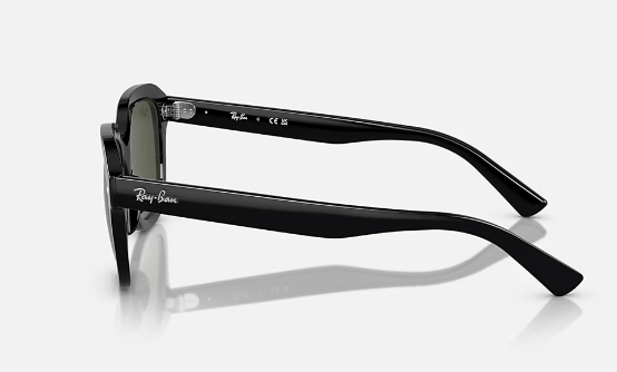 Ray - Ban Erik - Ray Ban210000079453