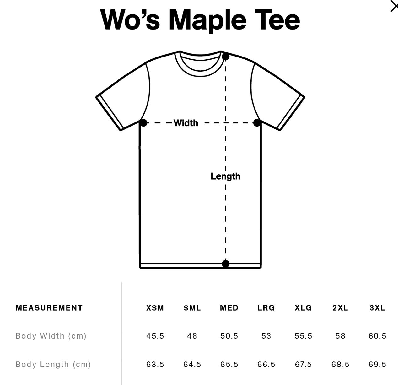 SSS 79 Ladies Tee - Skin Ski + Surf002579L-Coal-L8