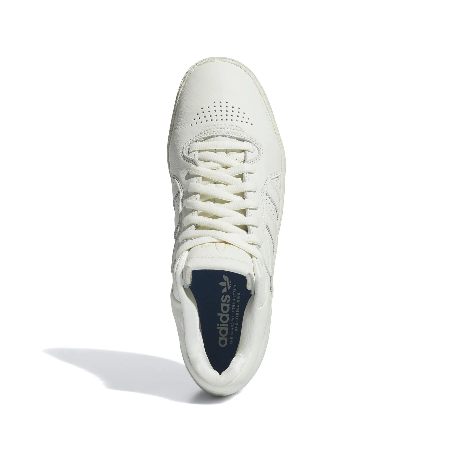Tyshawn Ivory/Ivory/Blubir - AdidasIE3134 - Ivory/Ivory/Blubir - 10