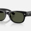 Mega Wayfarer ii