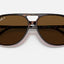 BILL HAVANA POLAR BROWN