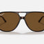 BILL HAVANA POLAR BROWN