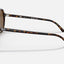 BILL HAVANA POLAR BROWN