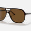 BILL HAVANA POLAR BROWN