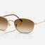 Arista Clear Gradient Brown