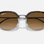 RB4429 Havana on gunmetal brown gradient polar