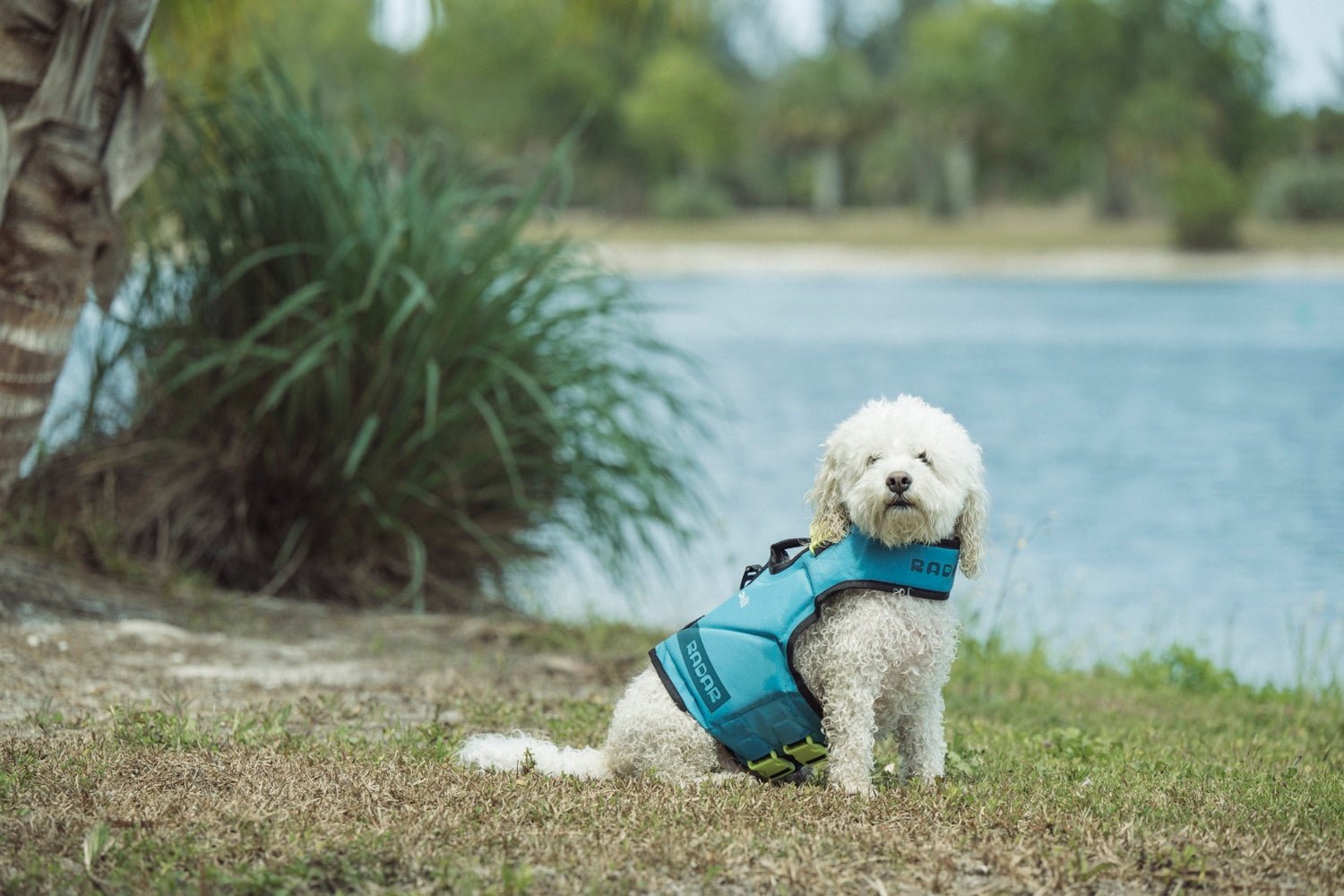 2024 Radar Dog Vest -Radar244490-Blue-XXS