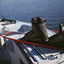 2027 Radar Carbitex Vector BOA Boot - Radar251200 - Carbon - Small
