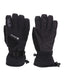 WHISTLER II MENS GLOVE