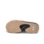 FANNING FOSSIL RAVEN