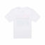 Youth Fox X Kawi SS Tee