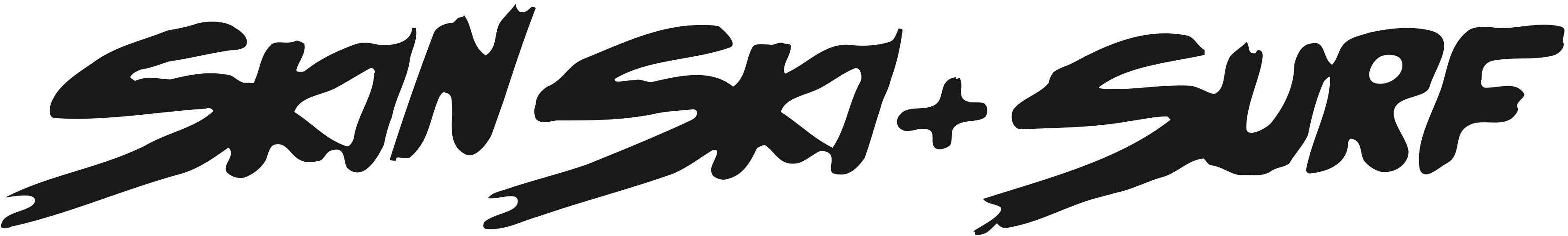 Wake Sale