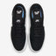 Nike SB Chron 2 CNVS