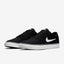 Nike SB Chron 2 CNVS