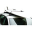 Multi Surf SUP Longboard Rax