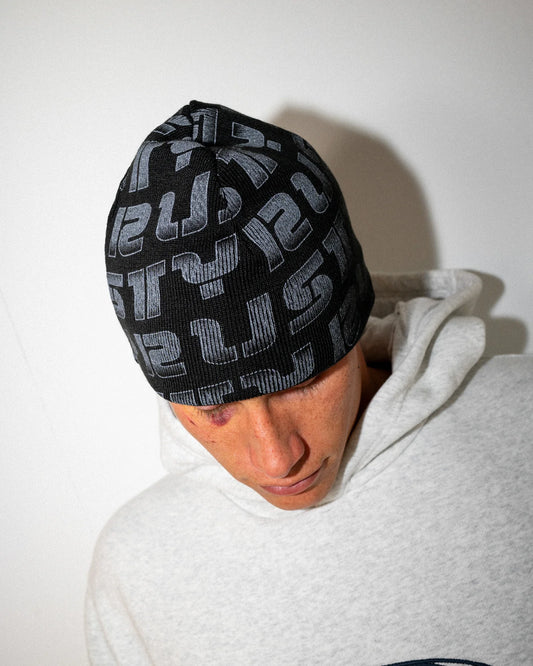 Flipside Reversible Beanie