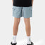 CALI CARGO SHORTS - Santa CruzSB223-SH06-SLATE-8