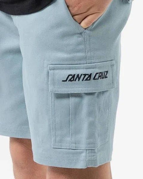 CALI CARGO SHORTS - Santa CruzSB223-SH06-SLATE-8