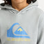 COMP LOGO HOODIE YTH - Quiksilver25C311675-QUARRY-XS/8