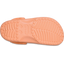 Classic Clog