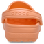 Classic Clog
