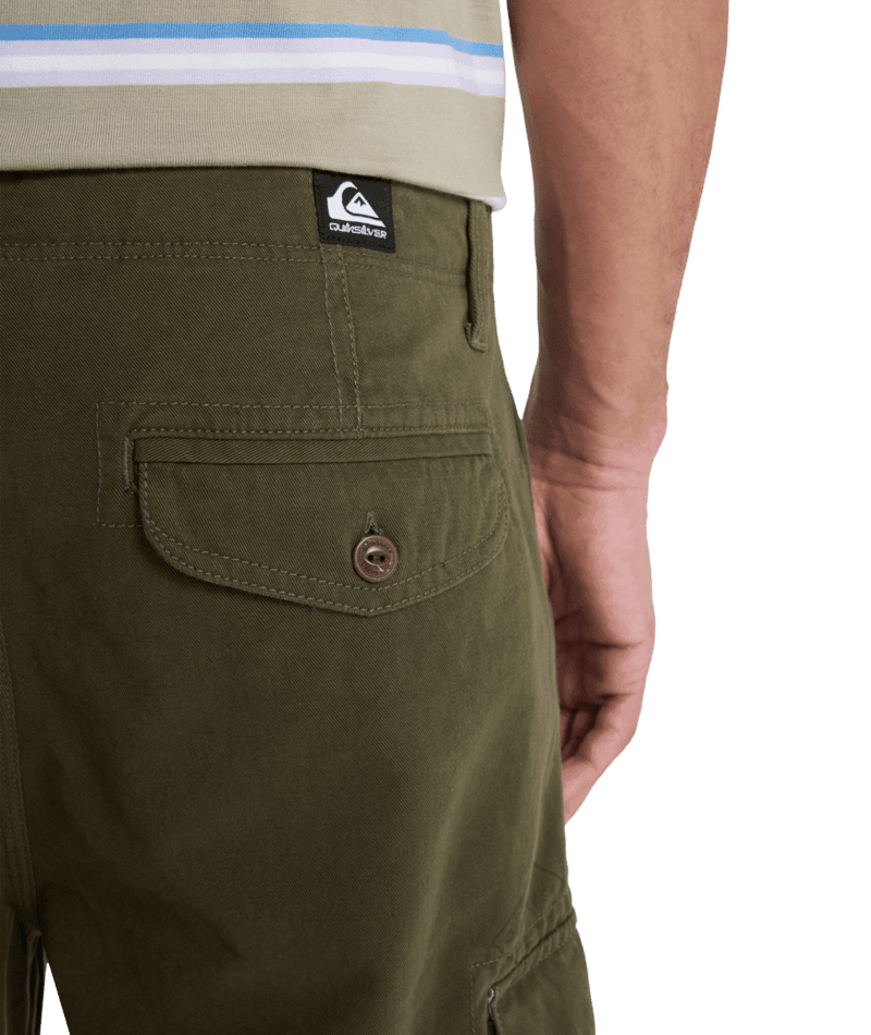 CRUCIAL BATTLE CARGO -QuiksilverUQYWS03091-GRAPE LEAF-30