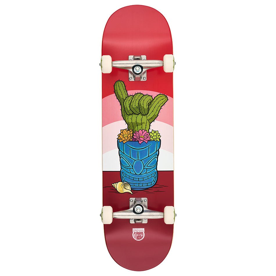 DEC - Murphys Cactus - Lookin Sharp - Globe210000183394