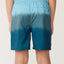 DIP VOLLEY-BOY -Rip Curl066BBO-BLUE GREEN-8