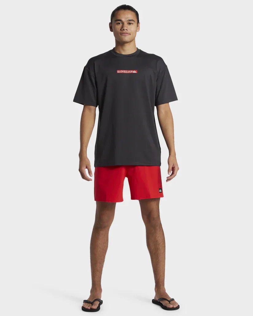 DNA CLICKER LOGO SURF TEE - QuiksilverAQYWR03187 - Tarmac - S