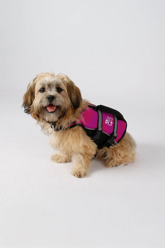 DOG PFD