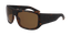 Dragon Calypso - Dragon OpticsDR139S.246.60/17 - Matte Tortoise/Brown Polar - 