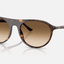 Havana w/Clear Gradient Brown - Ray Ban0RB2215 - 2954