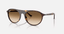 Havana w/Clear Gradient Brown - Ray Ban0RB2215 - 2954