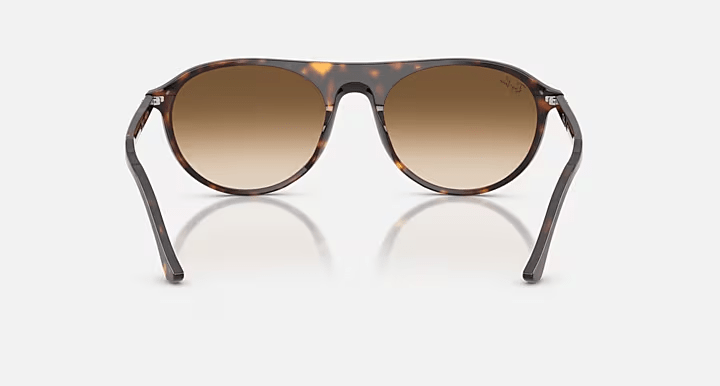 Havana w/Clear Gradient Brown - Ray Ban0RB2215 - 2954