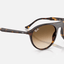 Havana w/Clear Gradient Brown - Ray Ban0RB2215 - 2954