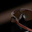 Hydra - Oakley0OO9229 - Rootbeer Prizm Tungsten - 