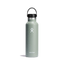 Hydration 21oz Standard - Hydroflask210000086738
